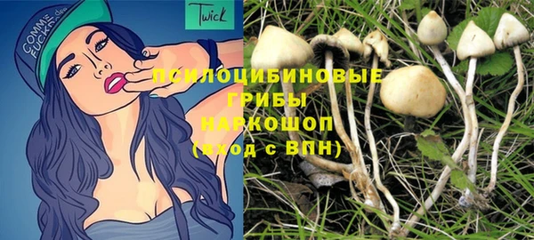дмт Алексеевка