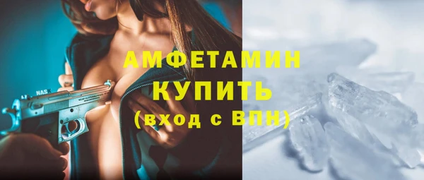 мет Алексин