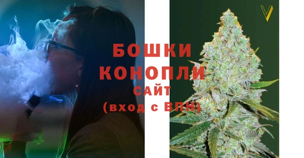 сатива Алзамай