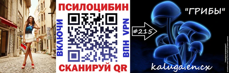 продажа наркотиков  МЕГА   Псилоцибиновые грибы мицелий  Сясьстрой 